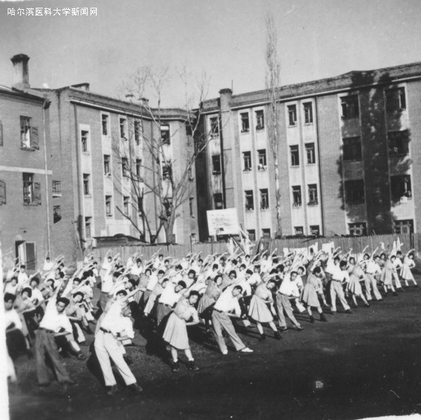 【希少】中葯大辞典 江蘇新醫學院編 上册下册1977年 附篇1978年 上海一版 希少】中葯大辞典 江蘇新醫學院編 上册下册1977年 附篇