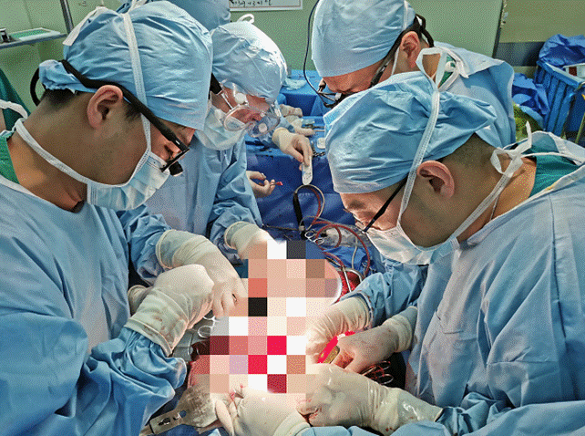 哈医大二院三周内完成三例“重肝”患者肝移植手术-哈尔滨医科大学